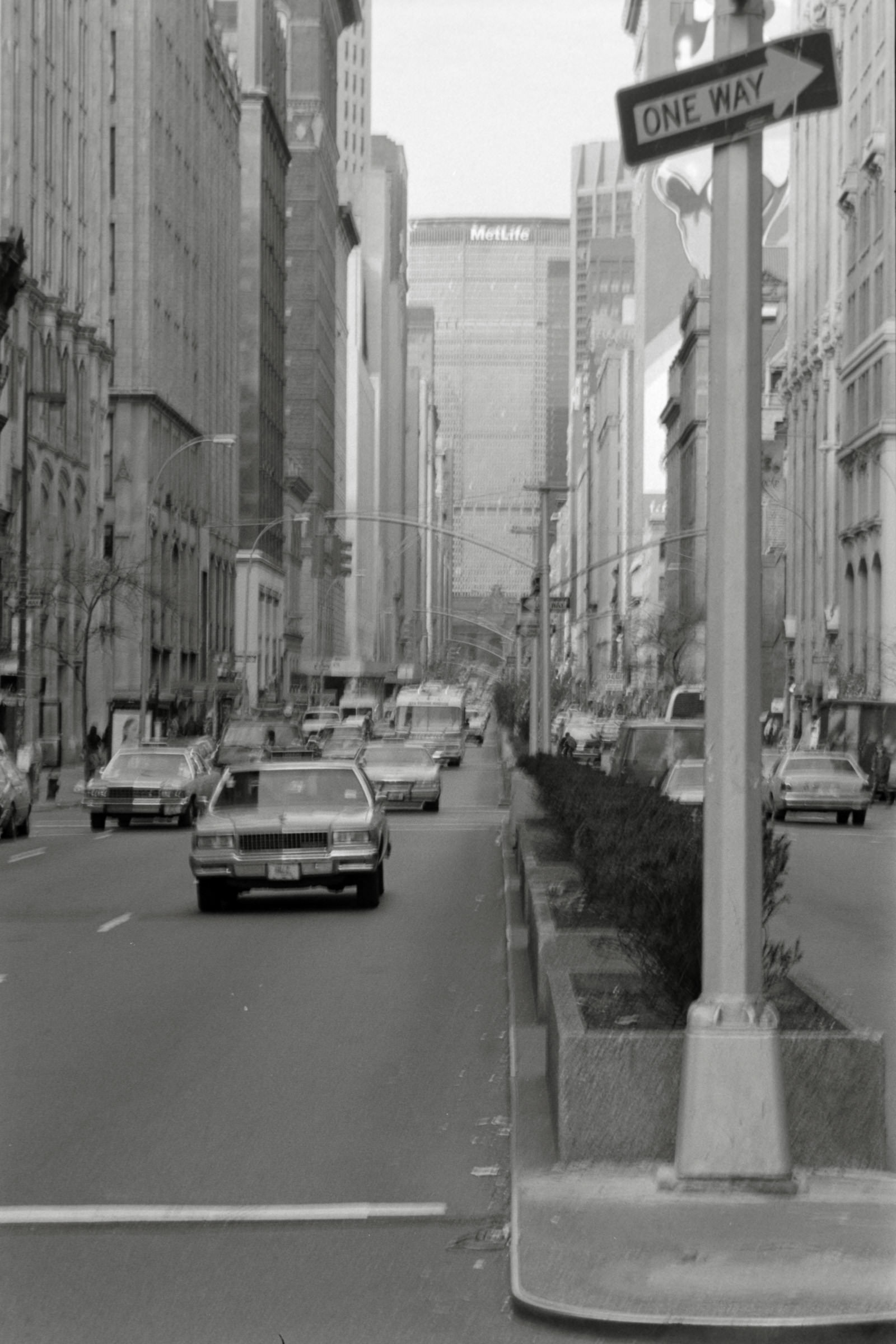 AHP F1995 04 008 sc240817 img13 NLP